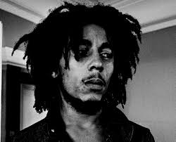 MARLEY_DP_A5_aindd 1 05/04/12 11:11