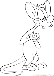 You can use our amazing online tool to color and edit the following brain anatomy coloring pages. Pinky Coloring Page For Kids Free Animaniacs Printable Coloring Pages Online For Kids Coloringpages101 Com Coloring Pages For Kids
