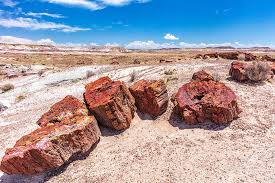 Check spelling or type a new query. National Parks Traveler S Checklist For Petrified Forest National Park