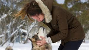 Professional dog trainers know that the best method to encourage an animal to behave in a certain way is to give him a small reward each time he behaves accordingly, properly executes a trick that you taught him, or. How To Show Love To Your Dog