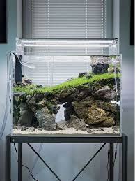 Aquarium setup from hardscape selection, through substrates and plant selection to the. 27 Easy Diy Aquascape Design On Low Budget Homemydesign