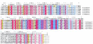 Roxy sowlaty arrives at the star magazine scene stealers event at lure on october 9, 2014 in hollywood, california. Structural Basis For The Inhibition Of Porcine Pepsin By Ascaris Pepsin Inhibitor 3 Nature Structural Molecular Biology