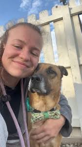 Sage is such a wonderful, snuggly pup! It’s a mystery to me how nobody has  snatched her up yet 🙃, Sage is friendly to all people and dogs; she’s  goofy, playful, great