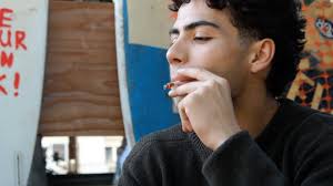 California colleges are leaping onto the cannabis bandwagon