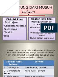 Ciri dan tingkah laku khas haiwan. Berlindungdrmusuht5 150825080135 Lva1 App6892