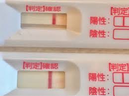 Bt5 陰性 可能 性