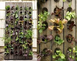 We did not find results for: Diseno Y Decoracion Jardines Pequenos Un Jardin Para Mi
