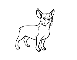 Download French Bulldog Dog Coloring Page Coloringcrew Com