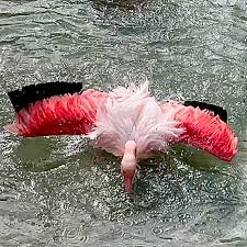 Marc Forman (@mfdsfb) • Instagram photos and videos