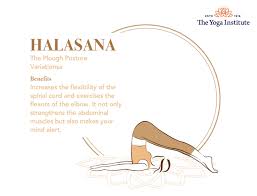 Aug 28, 2007 · halasana is usually performed after sarvangasana for anywhere from 1 to 5 minutes. Halasana The Plough Pose The Yoga Institute