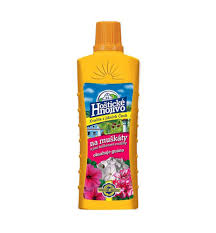 Image result for foto muškáty