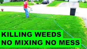 Check spelling or type a new query. How To Get Rid Of Weeds In The Lawn Youtube