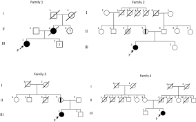 pedigree charts solid symbols affected individuals