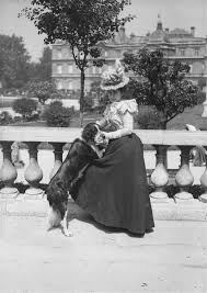 My Little Time Machine Vintage Dog Photo Old Photos