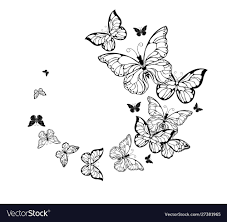 Flight contour butterflies Royalty Free Vector Image