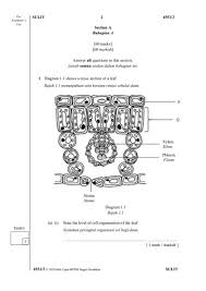 Model keratan rentas model besar yang menunjukkan keratan rentas pada satu bahagian tertentu pada satu benda , untuk memperlihatkan rupa bentuk bahagian dalam benda tersebut. Ns Paper 2a 2019 Flip Ebook Pages 1 17 Anyflip Anyflip