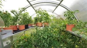 Das sondereigentum bezeichnet alle teile eines gebäudes und grundstücks, an dem der eigentümer das alleinige verfügungsrecht hat. Gewachshaus Und Ofen Im Garten Was Erlaubt Ist Ihre Sz Sz De