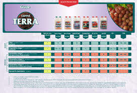 canna terra grow guide grape en by aaron osorio issuu