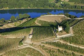 La chapelle actuelle fût construite en 1864. Michelas St Jemms France Drome 26 Tain L Hermitage Chapelle De L Hermitage Vigne Aoc Hermitage Et Le Rhone Vue Aerienne Domaine Michelas St Jemms