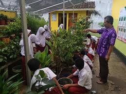 What does lss stand for? Sdn Panembangan Juara Lomba Sekolah Sehat Tingkat Propinsi Pemerintah Provinsi Jawa Tengah