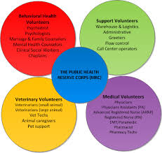 The Phrc Volunteer Organization Chart Family Counselor