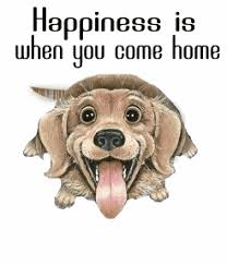 Image result for fur babies animated
