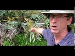 Arboretum Park and Garden Tour, Fall 2020