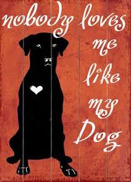 pin on doggy whispers