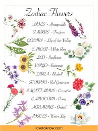 The constellation of cancer is located in the northern celestial hemisphere. Zodiac Sign Flowers Find Your Perfect Bloom Lovetoknow