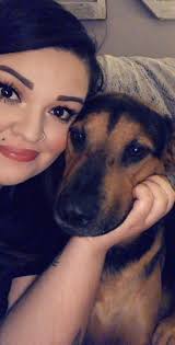 Managing Sterile Panniculitis in Dogs Through Stress Reduction