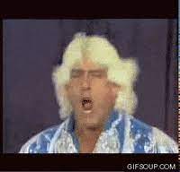 Les infos, chiffres, immobilier, hotels & le mag. Ricflair Gifs Get The Best Gif On Giphy