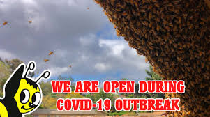 In most cases, we will come to you on the same day you call us to report a problem. Bee Whisperer Blog Bee Best Bee Removal San Diego Ca