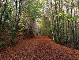 polonezkoy tabiat parki nerede giris ucreti detayli gezi rehberi doga yuruyusu seyahat rehberi seyahat