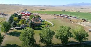Historic property in the hidden hills now owned by kim kardashian and kanye west, valued at $19.75 million. Sigh Another Little Kardashian Farm For The Freesians