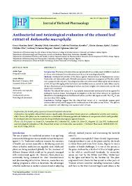 Image result for Anthonotha