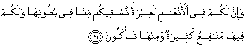 Surah ini diawali dengan penetapan kemenangan bagi. Quran Surah Al Muminun 21 Qs 23 21 In Arabic And English Translation Alquran English