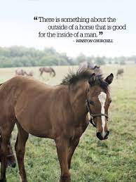 Country Quotes About Life So Inspiring