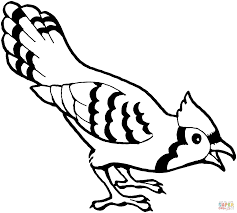 Supercoloring.com is a super fun for all ages: Blue Jay Bird Coloring Page Free Printable Coloring Pages Bird Coloring Pages Bird Coloring Page Blue Jay Bird