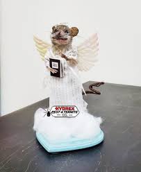 The difference between these two pests will greatly impact the type of service needed to control them in your property. Hydrex Pest Control Termite 48 Photos 65 Reviews Pest Control 3252 Foothill Blvd La Crescenta Ca Phone Number