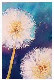 Deviantart Shop Framed Wall Art Prints Canvas Traditional Art Paintings Make A Wish By Artist Rsharts Art Painting Colorful Art Watercolor Art