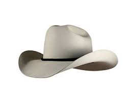 Silver Mist Leather Cowboy Hats Cowboy Hat Styles Custom Cowboy Hats