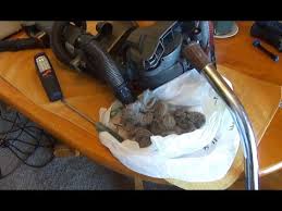 Black Decker Air Swivel Vacuum Stopped Working Black Decker Air Swivel Vacuum No Suction Fix Youtube