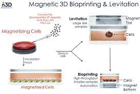 We offer detailed, color calibrated and affordable technologies for cultural institutions such. 3d Cell Culture Spheroids Organoids M3d Greiner Bio One Kit Cell Culture System Greiner Bio One Cell Culture Kisker Biotech Laboratory Equipment