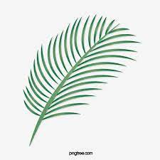 Cartoon Green Tropical Palm Leaves Cartoon Palm Leaves Cartoon Style Leaf Png And Vector With Transparent Background For Free Download Cartoon Styles Tropical Frames Leaves