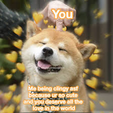 Wholesome Meme Dog Wholesome Memes Love Memes Memes