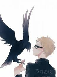 Maybe you would like to learn more about one of these? Anime 801042 Haikyuu Tsukishima Kei And Hq On Favim Com