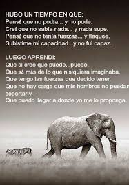 Google Motivacion Frases Frases Motivadoras Frases Sabias