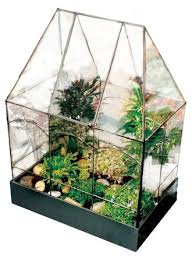 Miniature Gardens Make A Big Statement Miniature Garden Glass House Garden Terrarium