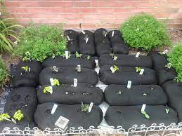 See more of family garden initiative on facebook. Gardens Family Garden Initiative