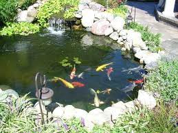 68 photos · curated by michele tokuno. Koi Fish Pond With Waterfall At Rs 300000 Piece Dadar Mumbai Id 14872582130